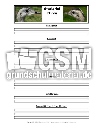 Nandu-Tiersteckbriefvorlage.pdf
